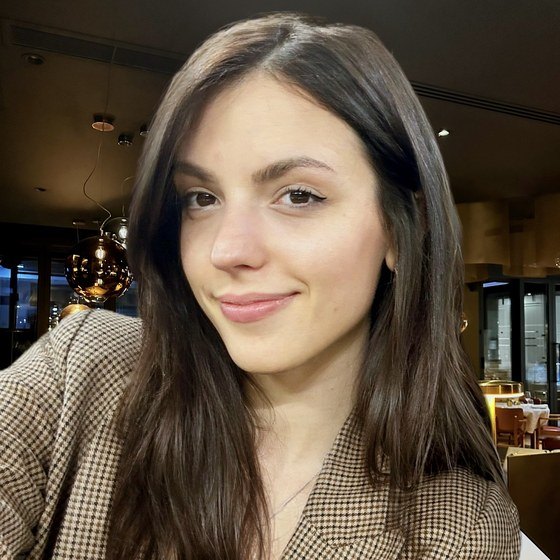 Vlada
